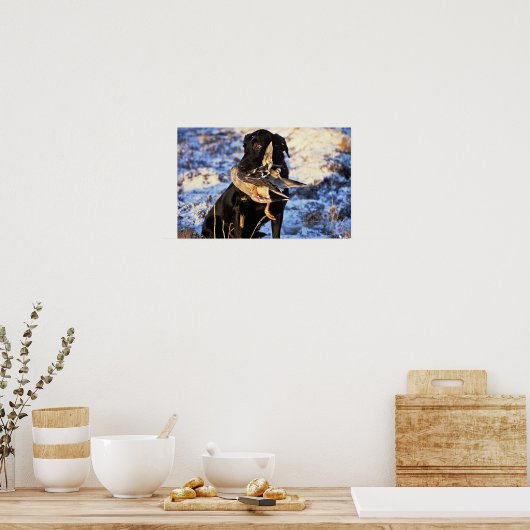 Labrador Retriever mit Drake Mallard Poster (Küche)