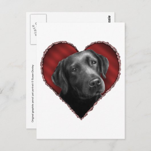 Labrador Retriever mit Herz Postkarte (Vorne/Hinten)