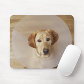 Labrador Retriever mit Kegel um den Hals Mousepad (Mit Mouse)