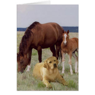 Labrador Retriever mit Pferdekarte