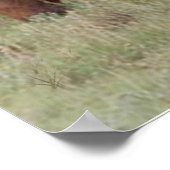 Labrador Retriever mit Pferdeplakaten Poster (Ecke)