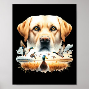 Labrador Retriever mit Stockenten auf Entenjagd Poster