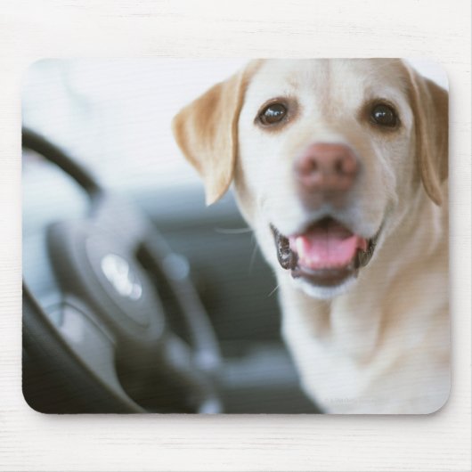 Labrador Retriever Mousepad (Vorne)