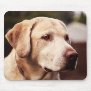 Labrador Retriever Mousepad