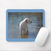 Labrador retriever Mousepad in dem See (Mit Mouse)