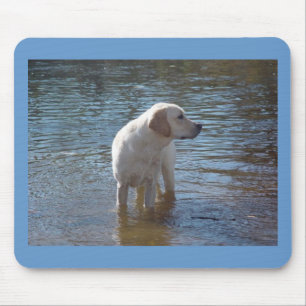 Labrador retriever Mousepad in dem See