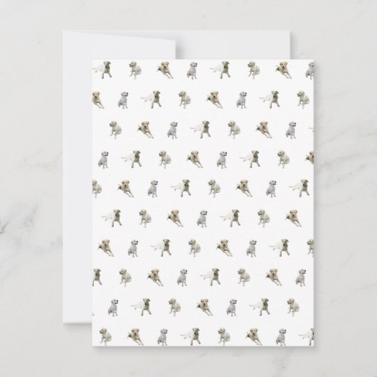 Labrador retriever-Muster (weiß) Dankeskarte (Vorderseite)