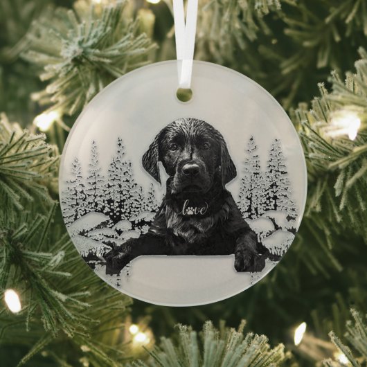 Labrador Retriever Ornament Aus Glas (InSitu)