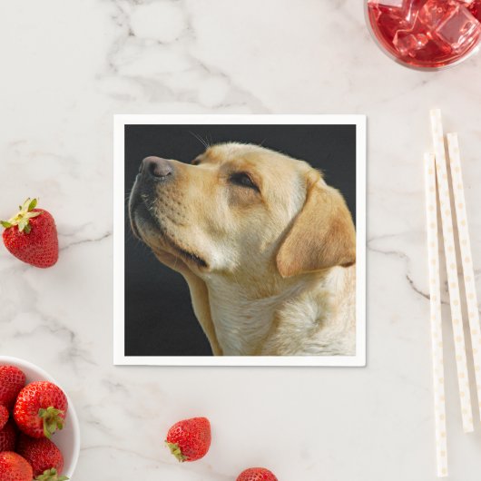Labrador Retriever Paper Napkins Serviette (Beispiel)