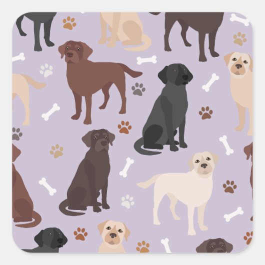 Labrador Retriever Paws and Bones Square Sticker (Vorderseite)