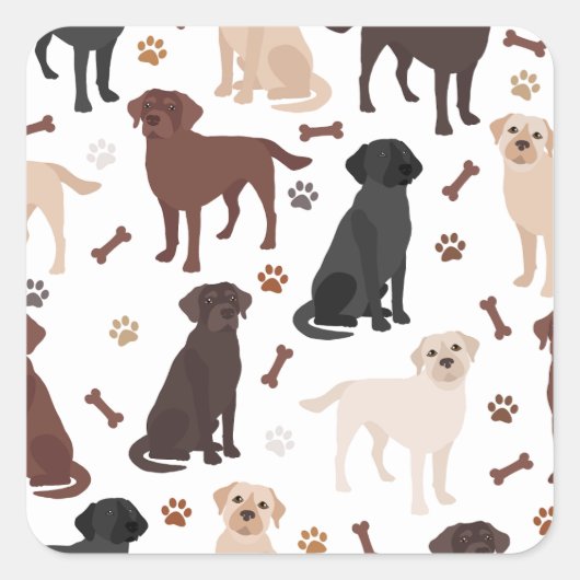 Labrador Retriever Paws and Bones Square Sticker (Vorderseite)