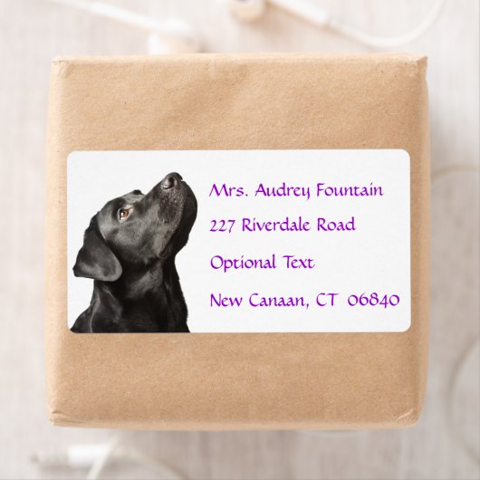 Labrador Retriever Personalisiert Name Address Lab (Insitu)
