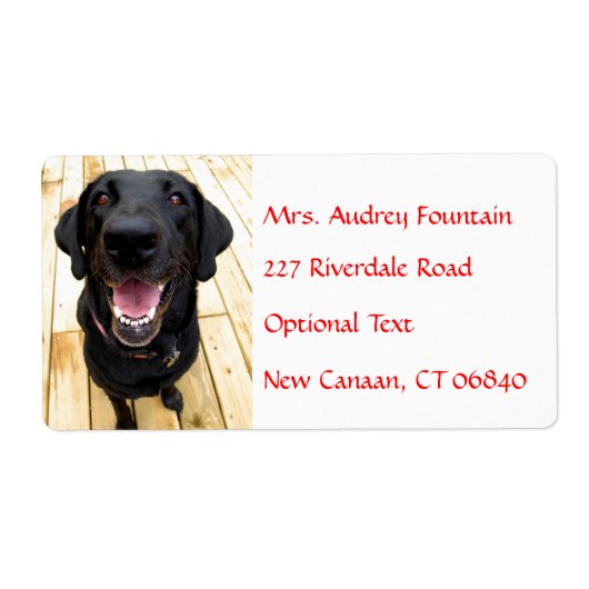 Labrador Retriever Personalisiert Name Address Lab (Vorne)