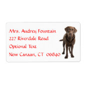 Labrador Retriever Personalisiert Name Address Lab (Vorne)