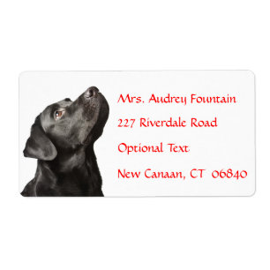 Labrador Retriever Personalisiert Name Address Lab