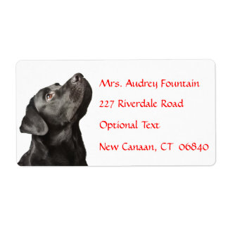 Labrador Retriever Personalisiert Name Address Lab