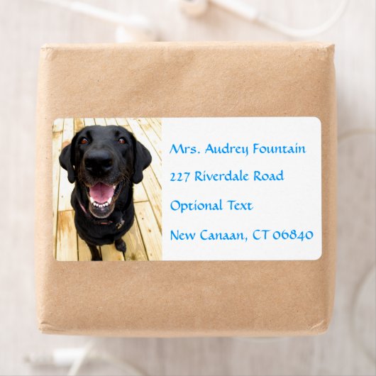 Labrador Retriever Personalisiert Name Address Lab (Insitu)