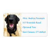 Labrador Retriever Personalisiert Name Address Lab (Vorne)