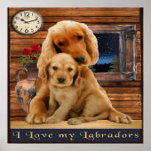 Labrador Retriever-Plakate Poster (Vorne)