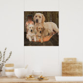 Labrador Retriever-Plakate Poster (Küche)