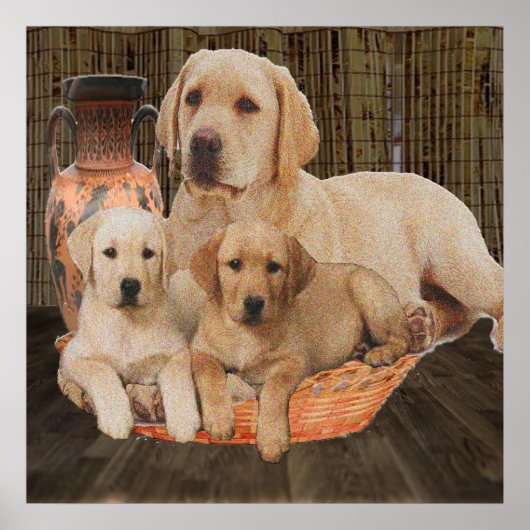 Labrador Retriever-Plakate Poster (Vorne)