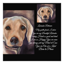 Labrador Retriever Poetry
