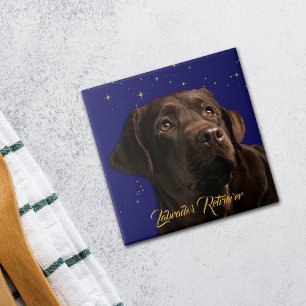 Labrador Retriever Portrait Starry Sky Hintergrund Fliese