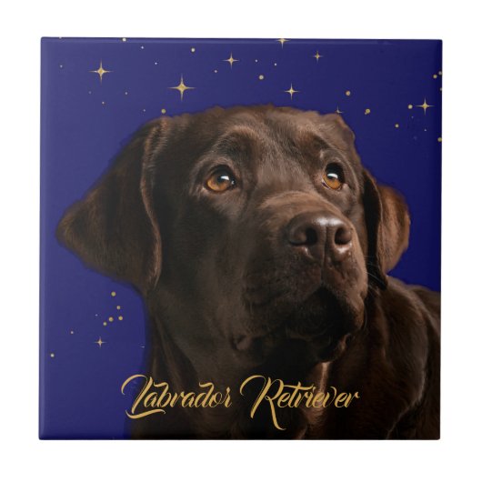 Labrador Retriever Portrait Starry Sky Hintergrund Fliese (Vorderseite)