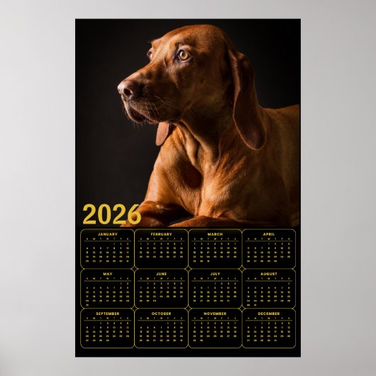 Labrador Retriever Portrait with 2026 Calendar Poster (Vorne)