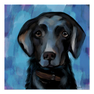 Labrador Retriever Poster