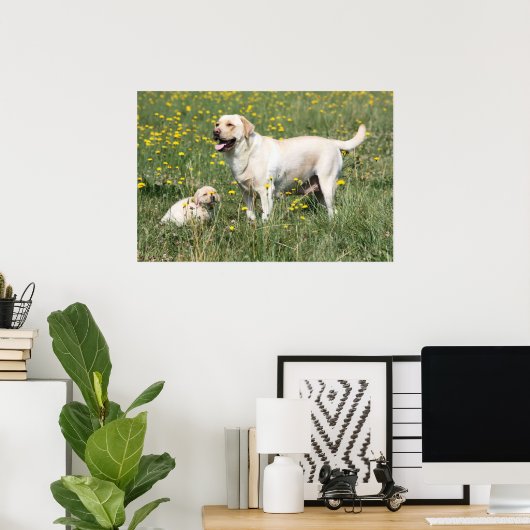 Labrador Retriever Poster (Heimbüro)