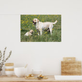 Labrador Retriever Poster (Küche)