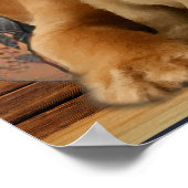Labrador Retriever Poster (Ecke)