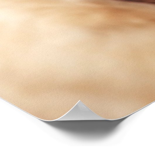 Labrador Retriever Poster (Ecke)