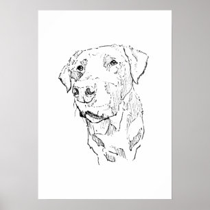 Labrador Retriever Poster Art, Wandbild Druck