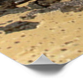 Labrador Retriever Poster Beach (Ecke)