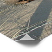 Labrador Retriever Poster Pups On Beach (Ecke)