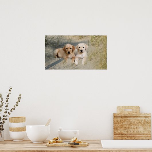 Labrador Retriever Poster Pups On Beach (Küche)