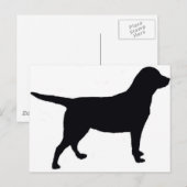 Labrador Retriever Postkarte (Vorne/Hinten)