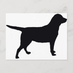 Labrador Retriever Postkarte