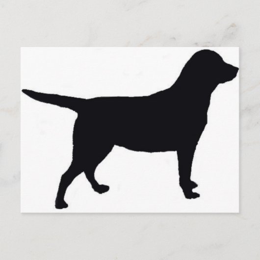 Labrador Retriever Postkarte (Vorderseite)
