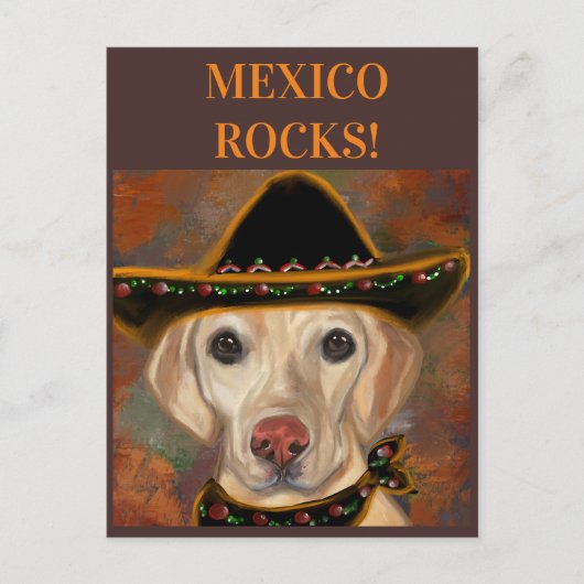 Labrador Retriever Postkarte (Vorderseite)