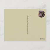 Labrador Retriever Postkarte (Rückseite)