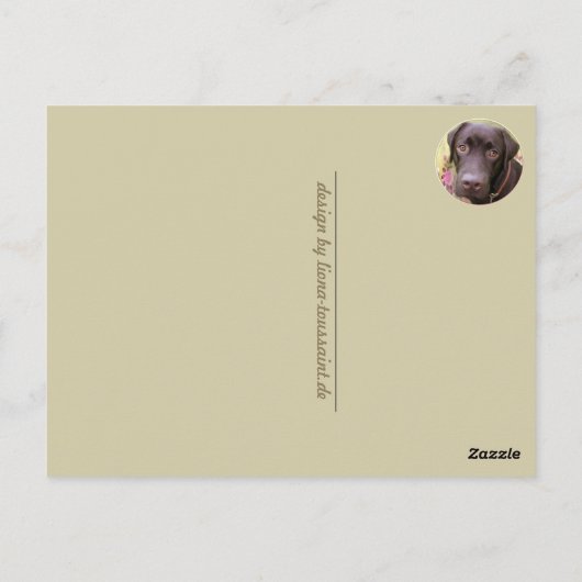 Labrador Retriever Postkarte (Rückseite)
