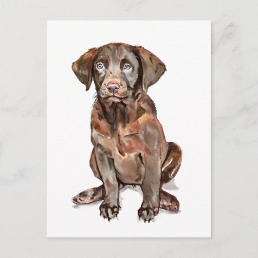 Labrador Retriever Postkarte (Vorderseite)