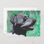 Labrador Retriever Postkarte (Vorne/Hinten)