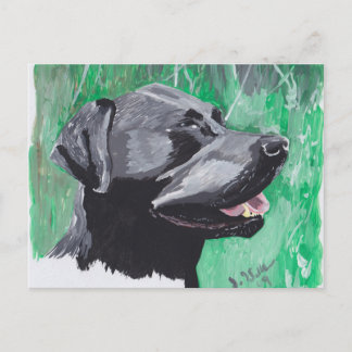 Labrador Retriever Postkarte