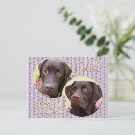 Labrador Retriever Postkarte (Stehend Vorderseite)