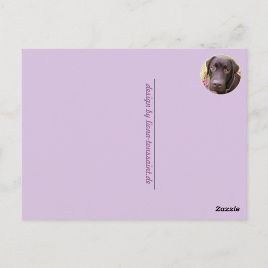 Labrador Retriever Postkarte (Rückseite)