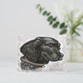 Labrador Retriever Postkarte (Stehend Vorderseite)